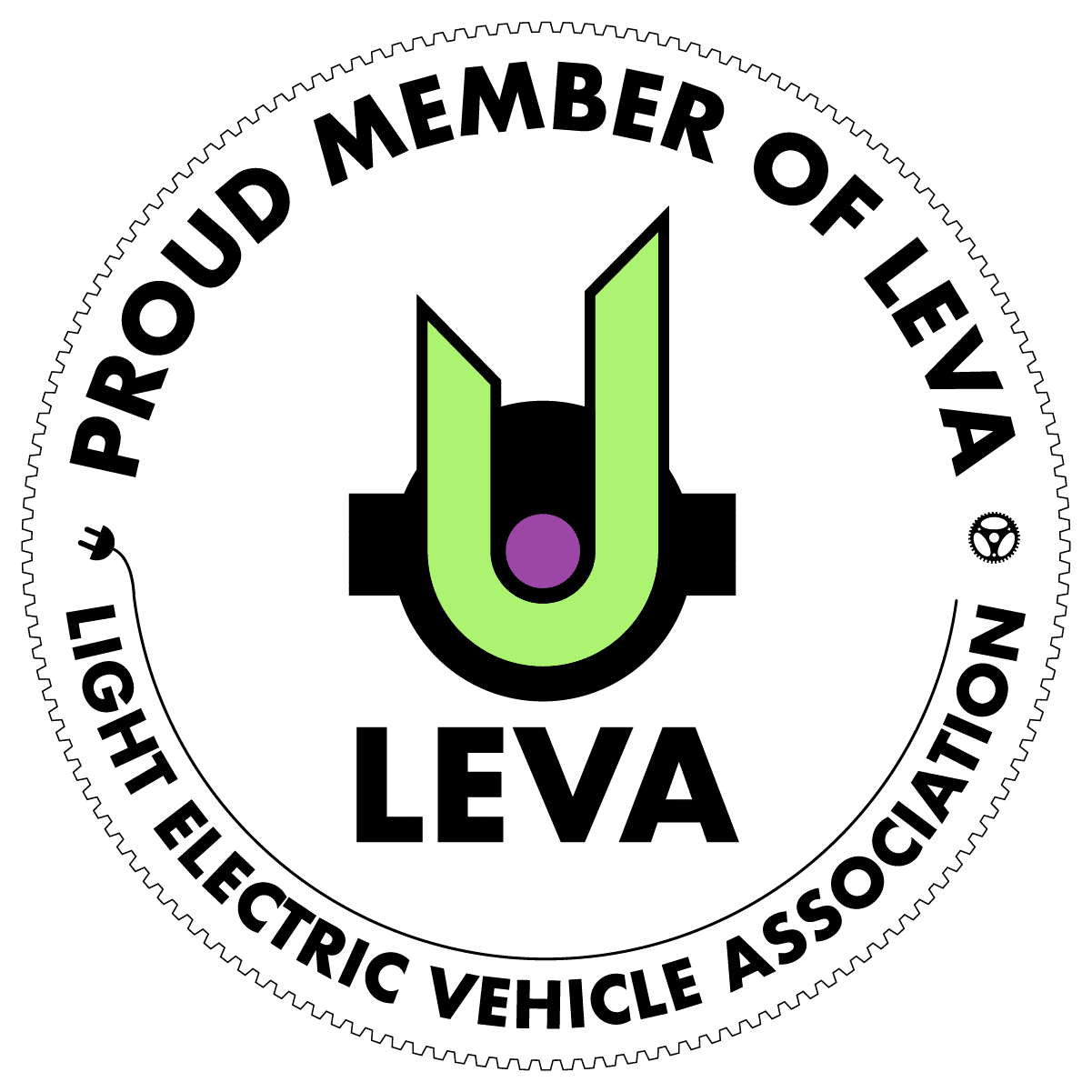 eBike Technician Training Light Electric Vehicle Association
