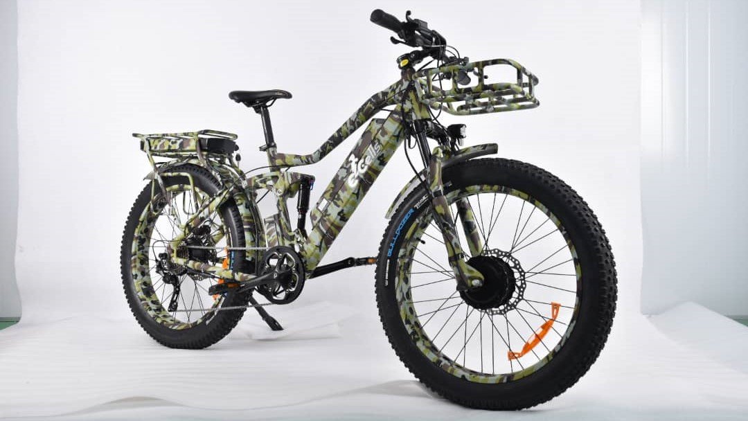 Ecells introduced the first Dual motor, Dual battery, Dual suspension E